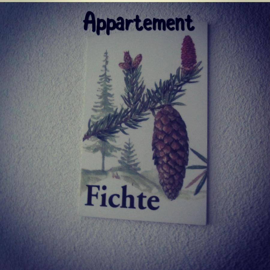 Chalet Rotenstein Berwang Kültér fotó